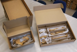 Skeleton box